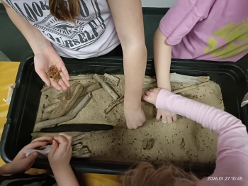 dziewczynki poszukują bursztyny