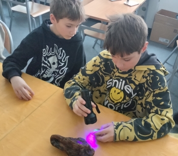 jaki kolor ma bursztyn