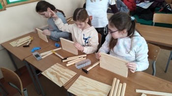 IMG20260202104356 - kopia