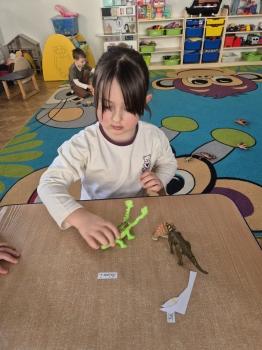 inbound5683242117593485333