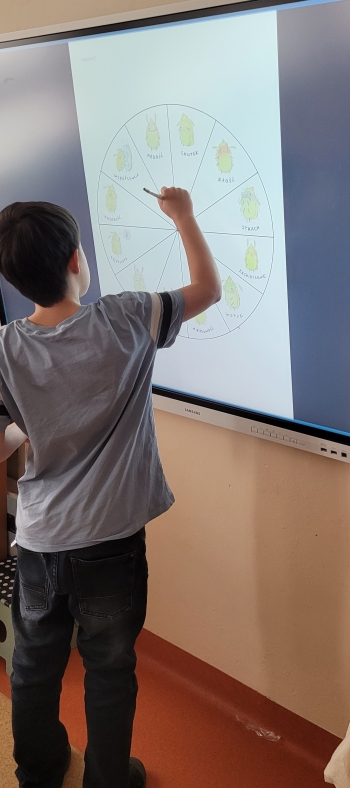 Uczniowie wypełniają koło emocji