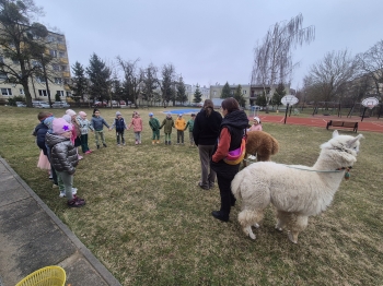 inbound1716426451969302928