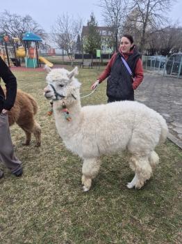 inbound3928490507264236241