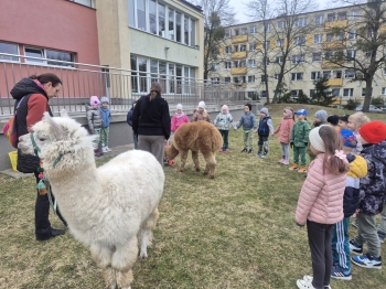 inbound4702526967934824832