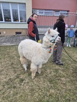 inbound7534123356586212532