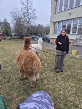 inbound5671549819591635204