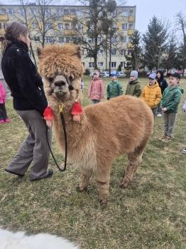 inbound6049788381328411297