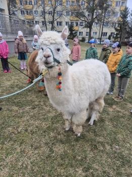 inbound1709453475579680579