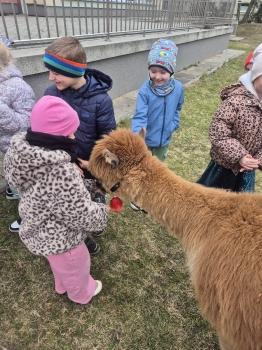 inbound4879678090363234417