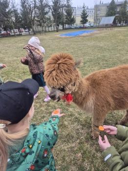 inbound2786778759092019843