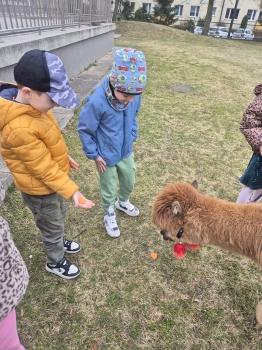 inbound681588906189593724