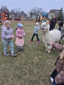 inbound1577067174423333333