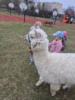 inbound2285612567874068693