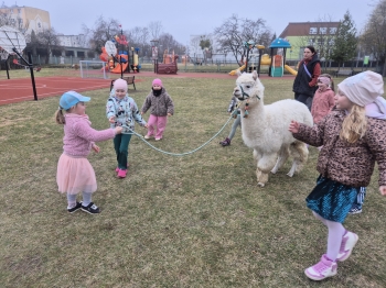 inbound4449496206765557550