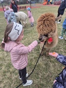 inbound6167674571831111051