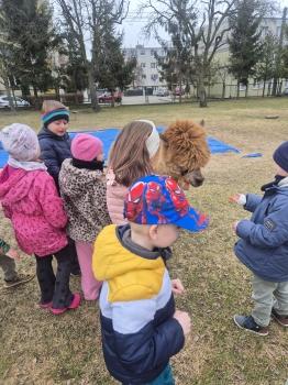 inbound5043237243789837312