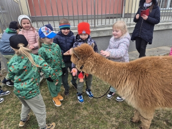 inbound3076338940146194093