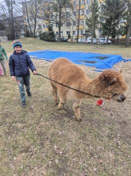 inbound4809056250916206790