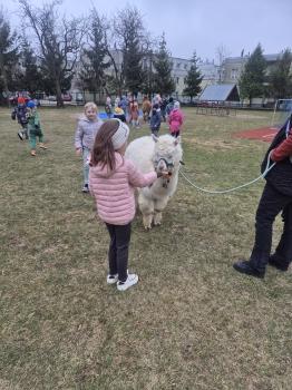 inbound8095139758865275253