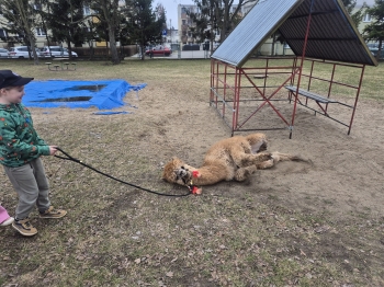 inbound1497970286008054877