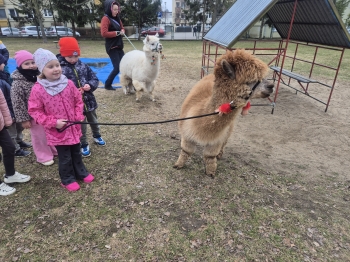 inbound3101014812534936233