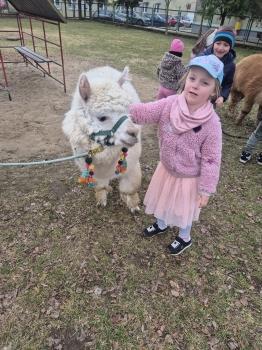 inbound2858280482956591078