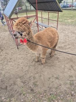 inbound6676297457708758245