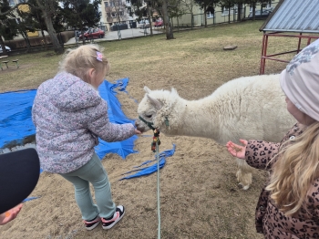 inbound8282987654093156467