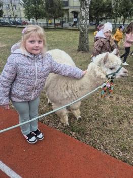 inbound571310356022152610