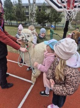 inbound340291918741736453