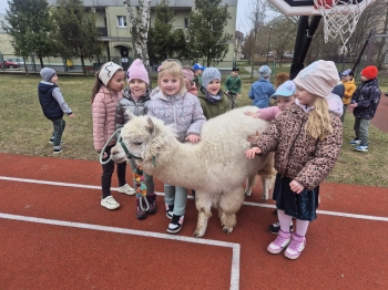 inbound4605080214312256718