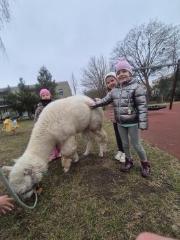 inbound548359930638384733