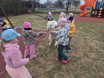 inbound79532322211960229