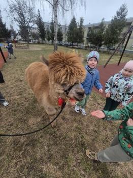 inbound5392658916046672017