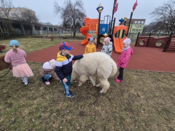 inbound5533722595538439642