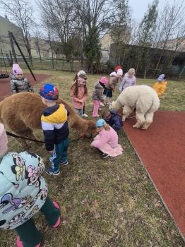 inbound5177870549550710315