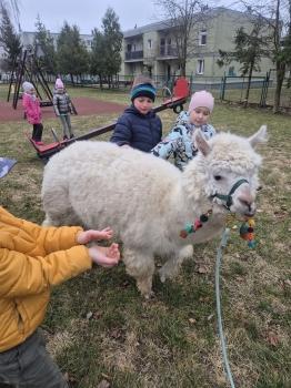 inbound6046795373923620184