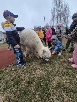 inbound5142141281707704314