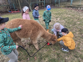 inbound6092249240704392512