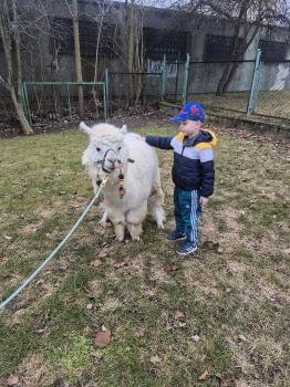 inbound6198753672823749424