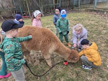 inbound7988965671285417395