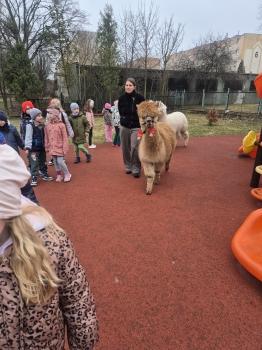 inbound4390466496646905400