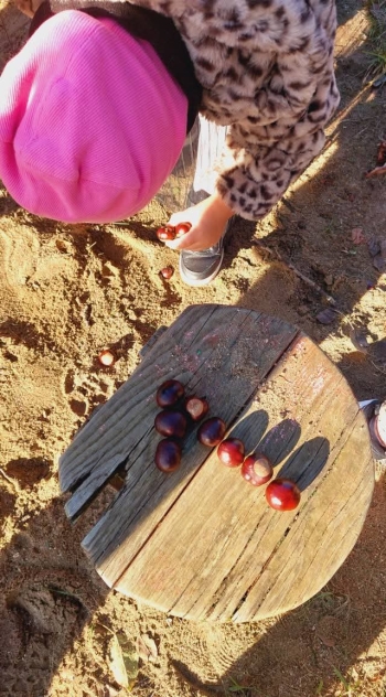 FB_IMG_1775725219160