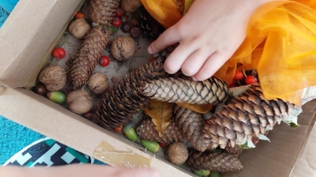 FB_IMG_1775726211135