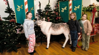 IMG_20251215_082645