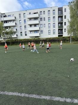 IMG_4017.JPG