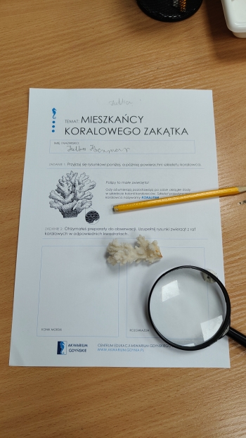 IMG20260618094611