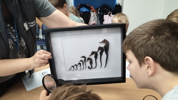 IMG20260618100246
