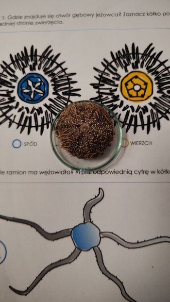 IMG20260618102710
