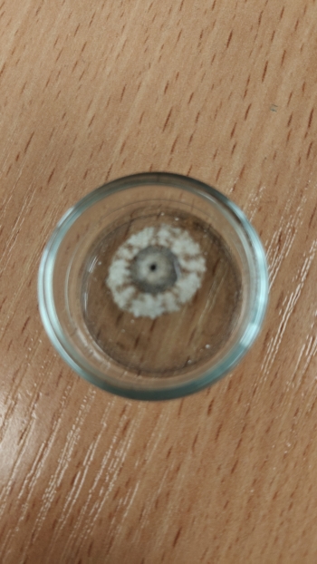 IMG20260618102755